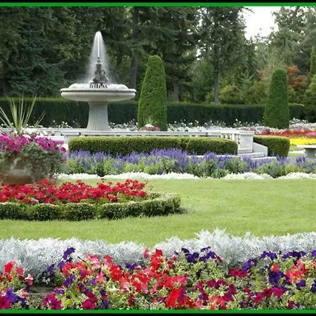 Kadriorg Hostel *